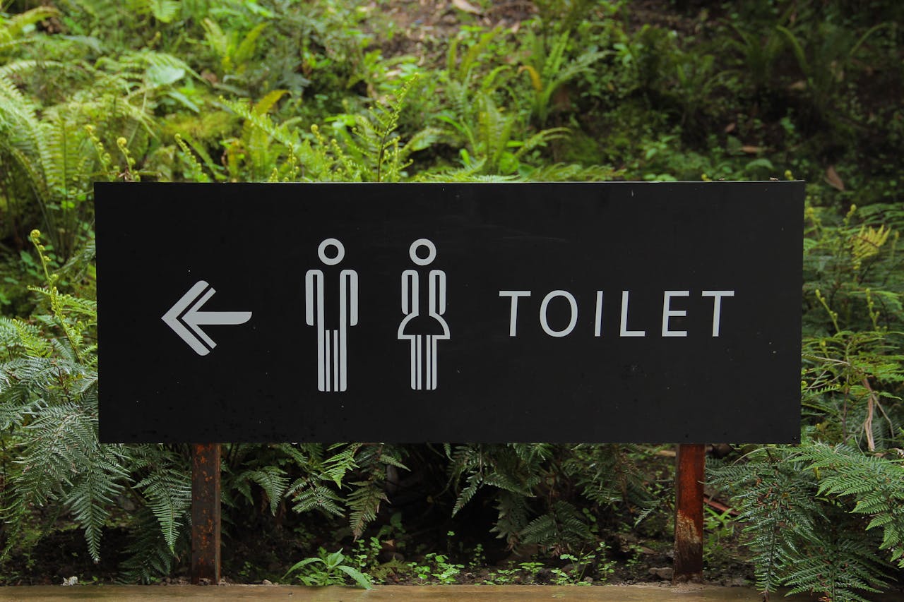 Outdoor toilet sign amidst lush ferns, indicating restroom direction.